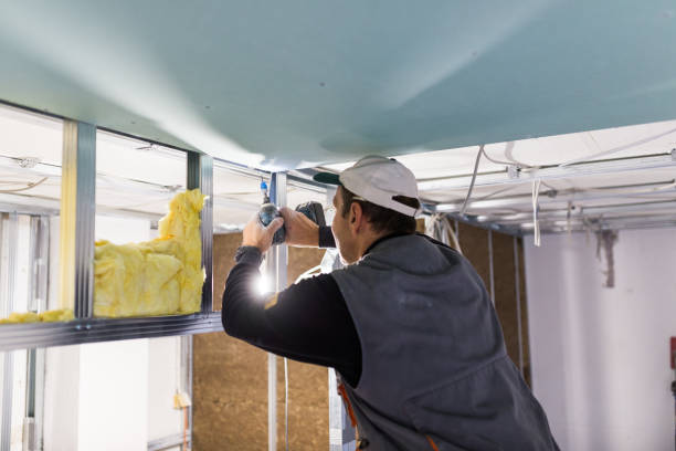 Best Insulation Contractor Near Me  in Claude, TX