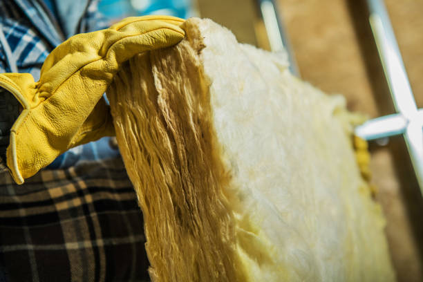 Best Local Insulation Services  in Claude, TX