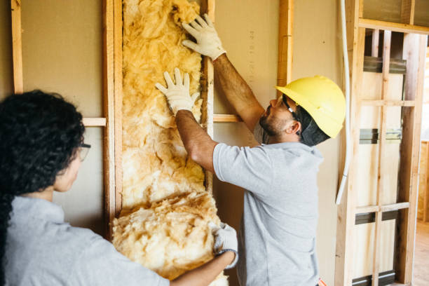 Best Attic Insulation Installation  in Claude, TX